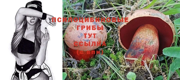 амф Абаза