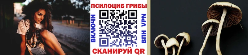 Псилоцибиновые грибы ЛСД Бокситогорск